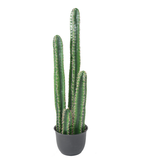 Kaktus 135 cm 