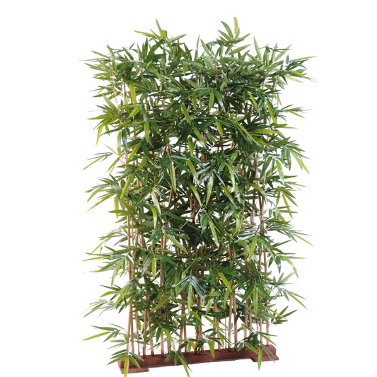 Bamboo Hedge