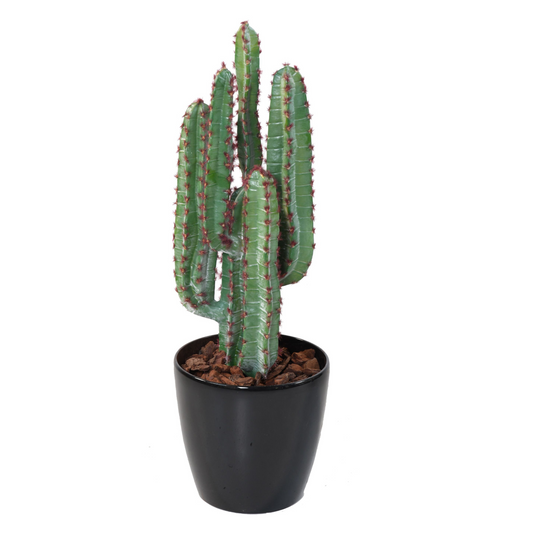 Kaktus 77 cm 
